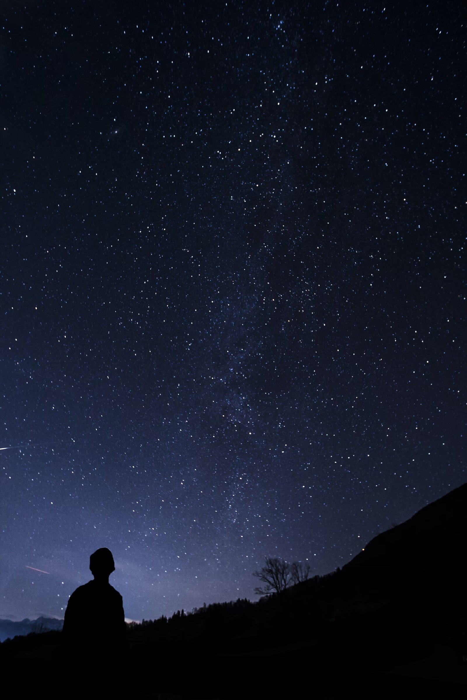 In The Stars