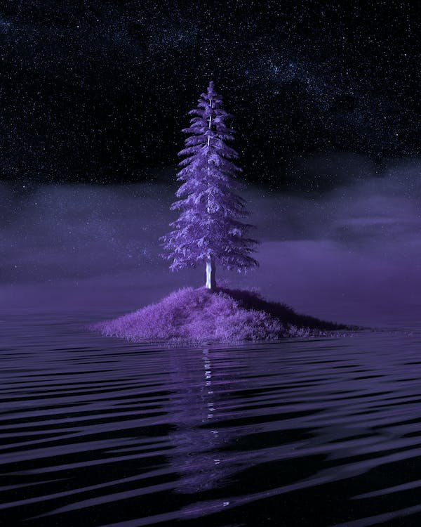 Purple Givco