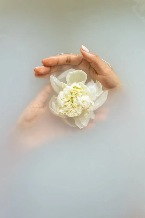White Beauty