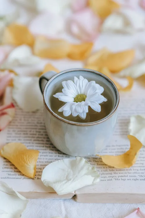 White Tea Blossom